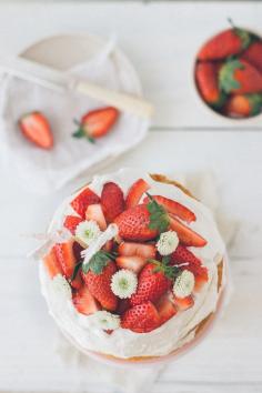 
                    
                        strawberry cream cake
                    
                