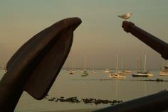 
                    
                        Seagull settles on an anchor at Williamstown, near Melbourne, Victoria, Australia
                    
                