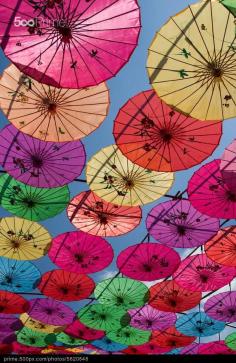 
                    
                        Colorful Chinese Umbrellas in Shenzen
                    
                