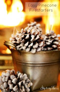 
                    
                        These easy pinecone fire starters make starting a fire a cinch! #yahoomakers
                    
                