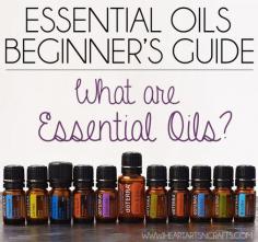 
                    
                        Essential Oils Beginner's Guide - Everything you need to know!
                    
                