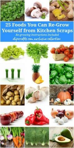 
                    
                        25 foods you can regrow from your kitchen scrap
                    
                