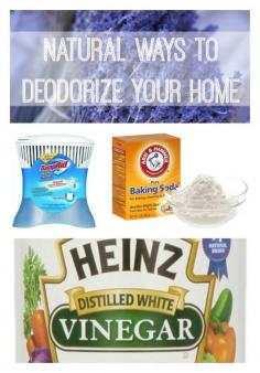 
                    
                        Natural Ways to Deodorize Your Home
                    
                