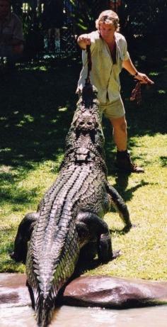 
                    
                        Steve Irwin - Australia's Crocodile Hunter - Will Always Be Remembered For His Amazing Rapport With Wild Animals & His Work To Fund Saving Endangered Species. -ShazB
                    
                