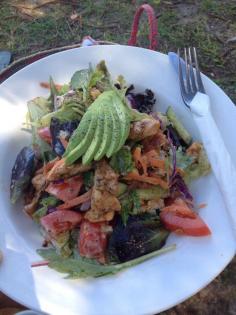 
                    
                        Warm chicken salad  - Little Manly Beach Kiosk, Manly, NSW, 2095 - TrueLocal
                    
                