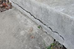
                    
                        How to Repair Cracked Concrete
                    
                