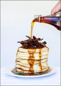 
                    
                        Rosemary Buttermilk Pancakes with Candied Pancetta
                    
                