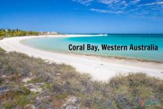 
                    
                        Falling in love with Coral Bay, Western Australia
                    
                