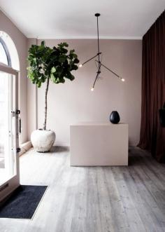 
                    
                        Yvonne Kone Boutique Copenhagen ; Gardenista
                    
                