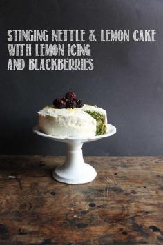 
                    
                        Nettle and Lemon Cake with Lemon Icing and Blackberries
                    
                