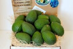 
                    
                        ----Fresh From the Farm - Buy 24 Large Hass Avocados
                    
                