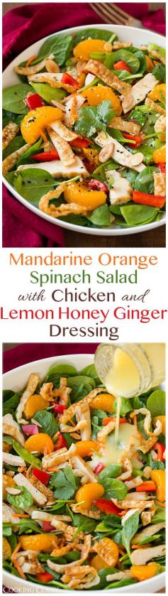 
                    
                        Mandarine Orange Spinach Salad with Chicken and Lemon Honey Ginger Dressing - this was one of the best salads I've ever eaten, my mom said the same too! DELICIOUS!! The dressing is to die for!
                    
                