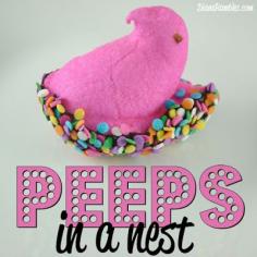 
                    
                        Peeps in a Nest from DianaRambles.com @FreeStyleMama #Easter #recipe #chocolate #sprinkles
                    
                