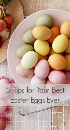 
                    
                        5 tips for dyeing Easter eggs | Tipsaholic.com
                    
                