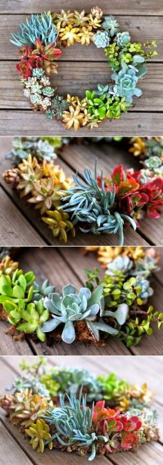 
                    
                        DIY Succulent Wreath
                    
                