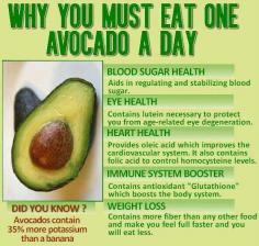 
                    
                        eat one avocado(butter fruit) a day. good to know..
                    
                