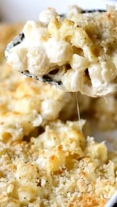 
                    
                        Cheesy Macaroni Chicken Bake ~ The combination of pasta, cheese, chicken and panko is delicious
                    
                