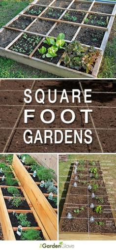 
                    
                        Easy Steps To Square Foot Garden Success • How-to's, examples & projects to get you started!
                    
                