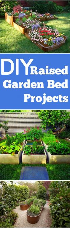 
                    
                        DIY Raised Garden Bed Projects.  Tips, Designs and Tutorials for DIY Raised Garden Projects
                    
                