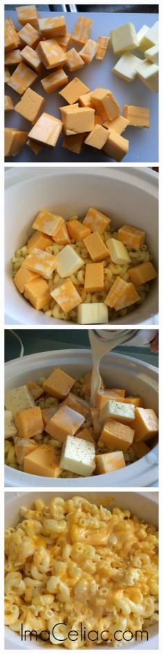 
                    
                        Gluten Free Crock Pot Mac n Cheese is a wonderful weeknight meal that you can make in your slow cooker! Set it and forget it. Your kids will love it.
                    
                