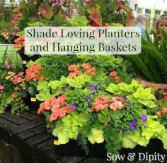 
                    
                        Shade plants for planters and baskets, finally... beautiful baskets for shade!
                    
                