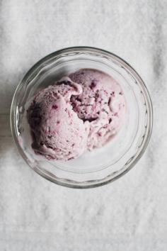 coconut blue-barb ice cream (dairy free)