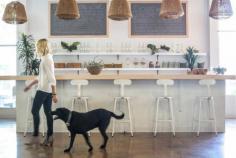 
                    
                        DogVacay Offices by West Haddon Hall, Santa Monica – California » Retail Design Blog
                    
                