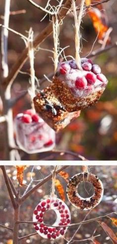
                    
                        Try these DIY Birdseed Ice Ornaments today. This project creates simple and beautiful ornaments made of ice that you can hang in your yard this winter.
                    
                