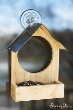 
                    
                        How to make an easy bird feeder! See the birds come right up to your window with this suction cup feeder #diy #birdfeeder #make skiptomylou.org
                    
                