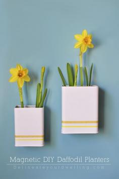 
                    
                        Upcycle old Spice containers into clean and modern Magnetic DIY Daffodil Planters!  Delineateyourdwel... #12monthsofmartha
                    
                