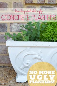 How to Paint Concrete Planters - The Bold Abode