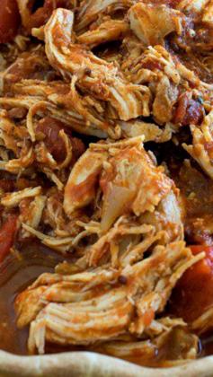 
                    
                        Mexican Pulled Chicken ~  Delicious and versatile... Great in sandwiches, enchiladas, tacos, and more!
                    
                