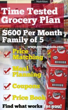 
                    
                        Here is my grocery plan with many ways I work to save money on my grocery bill.  You need find what works for you, here are some strategies for grocery shopping!
                    
                