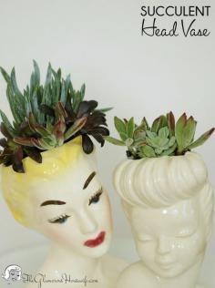 
                    
                        Planting succulents in vintage head vases is the perfect way to add a little spring into your home. Click through for instructions and more vintage head vase eye candy!
                    
                