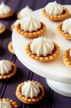Mini Pumpkin Pies. pumpkin recipes, pumpkin desserts, Thanksgiving recipes