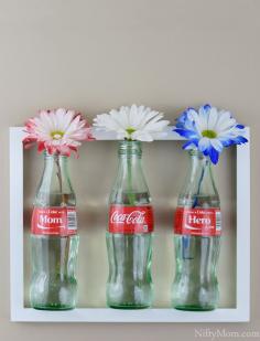 
                    
                        Framed Soda Bottle Flower Vases - Tutorial  #ShareAtSchnucks #ad Schnucks Coca-Cola
                    
                