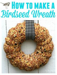 
                    
                        How to Make A Birdseed Wreath.
                    
                