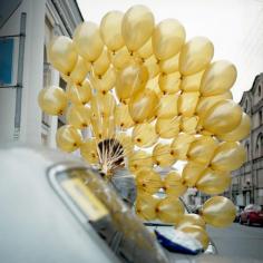 
                    
                        gold balloons. MAYBE.  when I have a special birthday, someone will think of this.  They are beautiful.
                    
                