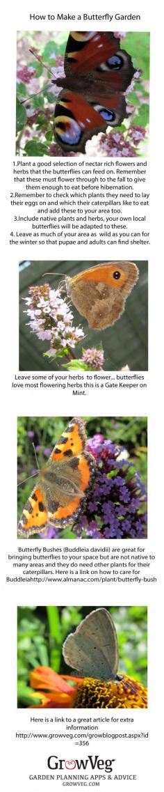 
                    
                        How to plant a Butterfly Garden.
                    
                