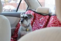 Smart and creative Back Seat Pet Protector, created by @Heidi Haugen | Hands Occupied for her Kia Optima.
