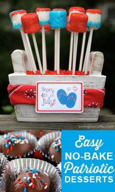 
                    
                        Easy No-Bake Red White & Blue Desserts! Fun Patriotic Party Ideas for 4th of July.
                    
                
