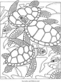 
                    
                        Welcome to Dover Publications Creative Haven SeaScapes Coloring Book
                    
                