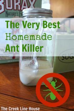 
                    
                        You won't believe how easy it is to get rid of all those ants for good.
                    
                