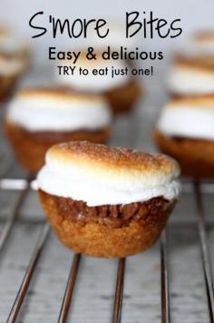 
                    
                        smore bites - try to eat just one CRAZY EASY TO MAKE TOO!
                    
                