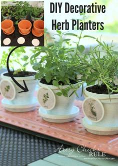 
                    
                        DIY Decorative Clay Pots with Herbs (decorating challenge)
                    
                