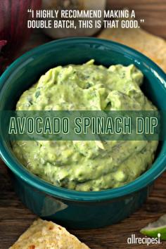 
                    
                        Avocado-Spinach Dip | “Sour cream gives this guacamole-inspired avocado and spinach dip an extra level of creaminess.”
                    
                