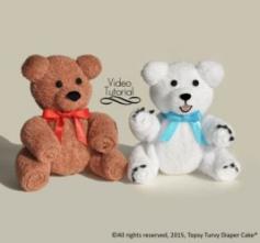 
                    
                        Washcloth Teddy Bear & Polar Bear | YouCanMakeThis.com
                    
                