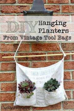 
                    
                        DIY Hanging Planters From Tool Bags | Live Randomly Simple
                    
                
