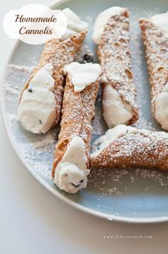 
                    
                        Best cannoli filling ever! So easy to make with simple ingredients. Tastes heavenly!
                    
                