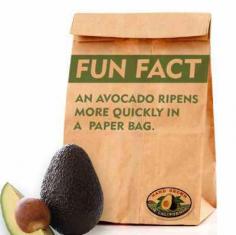 How to Ripen an Avocado - The Definitive Guide